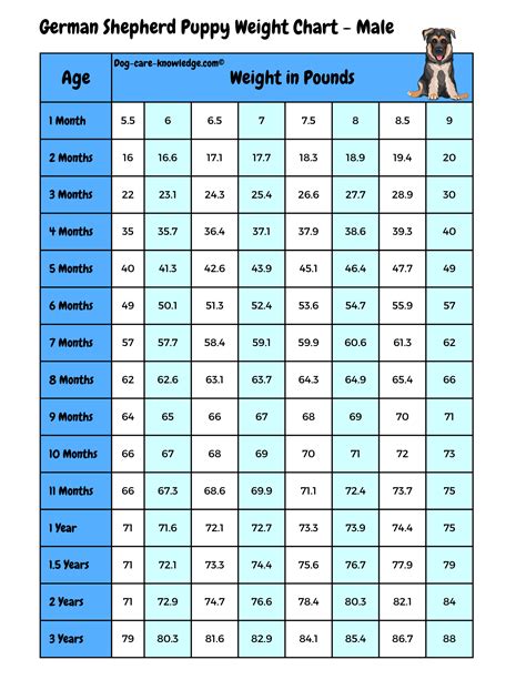 6 month old german shepherd|german shepherd puppy weight chart.